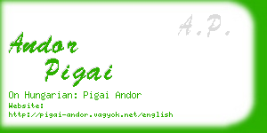 andor pigai business card